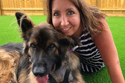 Pet lover on how German Shepherd Max nearly died of dog bloat