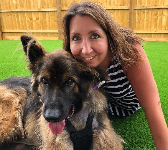 Pet lover on how German Shepherd Max nearly died of dog bloat