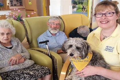 Dog lover Bev shares the love at care home