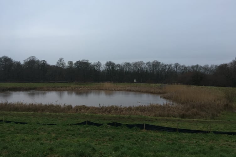 Possible Site Of New Wellington Railway Station, Seen From Palmers Mead