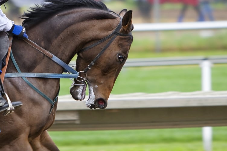 Horse racing stock image.