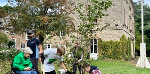 Special tree gifted to thank Somerset team for planting