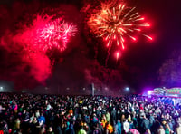 Opinion: Fireworks terrify pets and livestock and should be banned