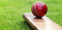 Councillor questions grant for cricket club