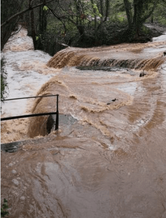 Wellington The Basins flooding flood