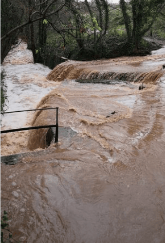 Wellington The Basins flooding flood