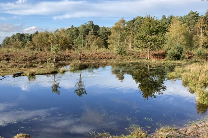 Junior First Prize-winning entry ‘Reflections on a Black Down pond’ by Louisa Vassallo, aged 10. Judges said: “An excellent picture that would have also done very well in the adult section. The sweeping arc of the pond bank provides a natural lead-in to the varied and interesting trees and their reflections, all capped off by an exciting summer sky.”