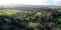 Dead elms threaten to spread tree disease around town 