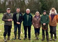 Langford planters hope their wood could be the first of many