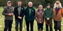 Langford planters hope their wood could be the first of many