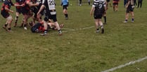 Flowing rugby from Wellington Seconds