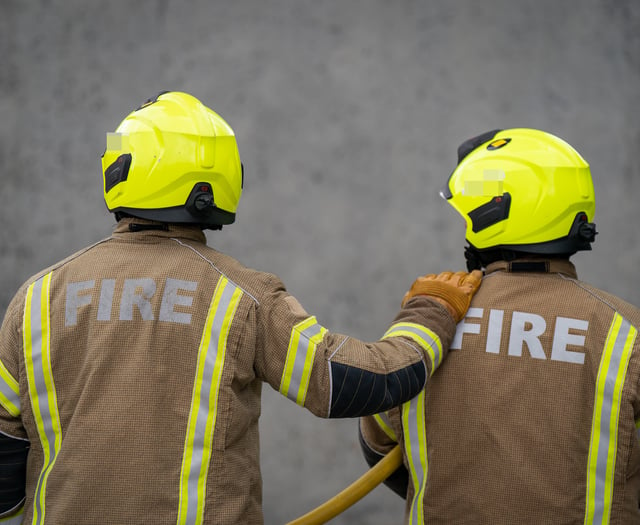 More fires in Devon and Somerset during last year's record heatwave