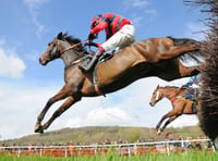 Bank Holiday point to point goers defy gloomy forecast 