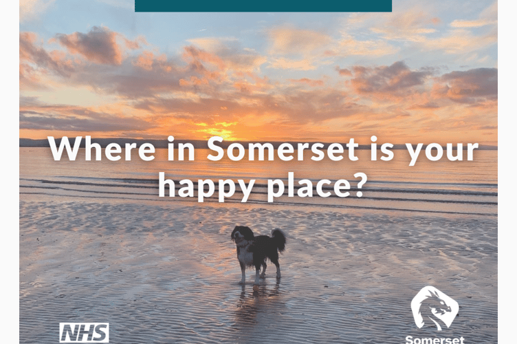 Somerset Council's #SomersetMyHappyPlace initiative