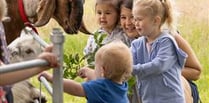 Wellies at the ready for Open Farm Sunday!