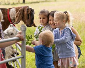 Open Farm Sunday is on June 11th