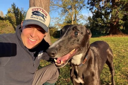 Full recovery for greyhound paralysed in freak accident