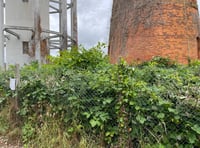 Weeds could threaten Rockwell Green towers again