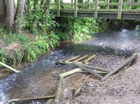 'Mindless idiots' destroy Westford footbridge