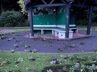 Vandals strike at Wellington park