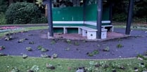 Wellington Park vandals caught