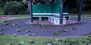 Wellington Park vandals caught