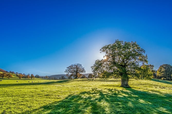 A warning for heat has been issued ahead of soaring temperatures