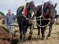 Ploughmen prepare to descend on small village for national contest