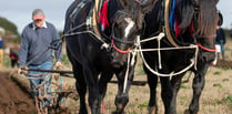 Ploughmen prepare to descend on small village for national contest