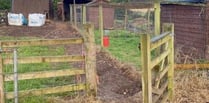 Appeal to help revamp school farm