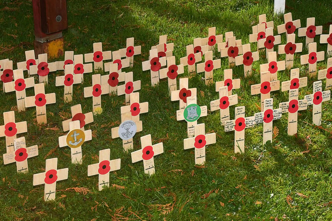 Crosses in Wellington's Field of Remembrance.