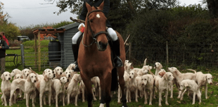 Boxing Day hunt meet planned for Wiveliscombe