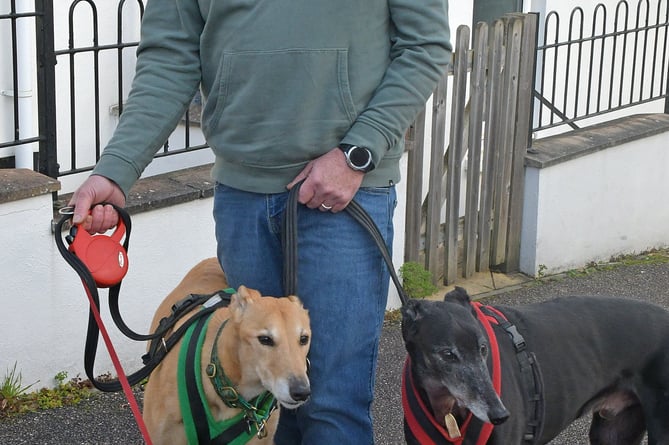 Shane Masland with his greyhounds Jimmer (left) and Jet, and Patterdale terrier Tess.