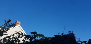 Sunny skies grace Wellington today, February 6th