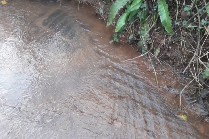 Drainage in Payton Road, Westford, Rockwell Green, was this week proving unable to cope after being blocked by silt.