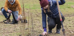 New Year volunteering resolution call