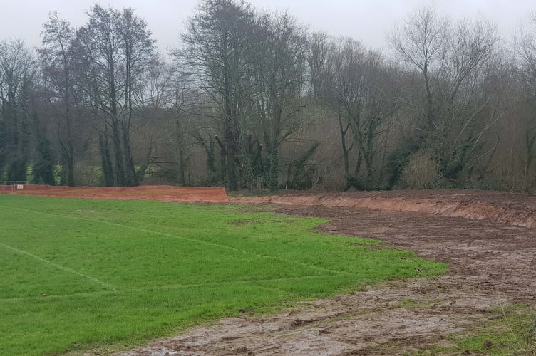 At least three trees will be planted by Wellington Rugby Club for every one that is lost from the former Beech Grove School field.