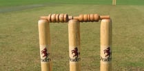 Somerset submit bid for professional women's cricket