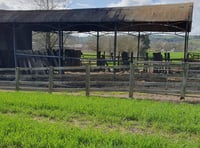 Police appeal after arsonist destroys barn