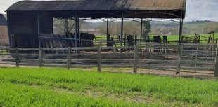 Police appeal after arsonist destroys barn