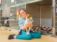 Animal hospital near Wellington is top dog for canine welfare