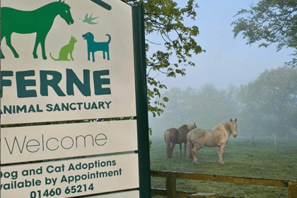 Ferne Animal Sanctuary's Summer Fayre will be held this weekend