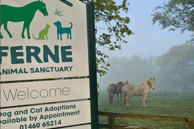Ferne Animal Sanctuary is holding a May Celebration event to raise funds towards its future (Ferne Animal Sanctuary)