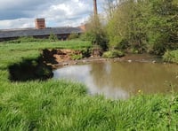 Council rejects "nanny state" fencing around river jumping hotspot