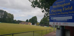 Town council to lead Wellington playing field management