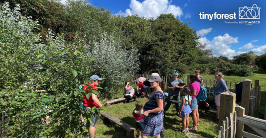 Earthwatch Europe's 'Tiny Forests' initiative.