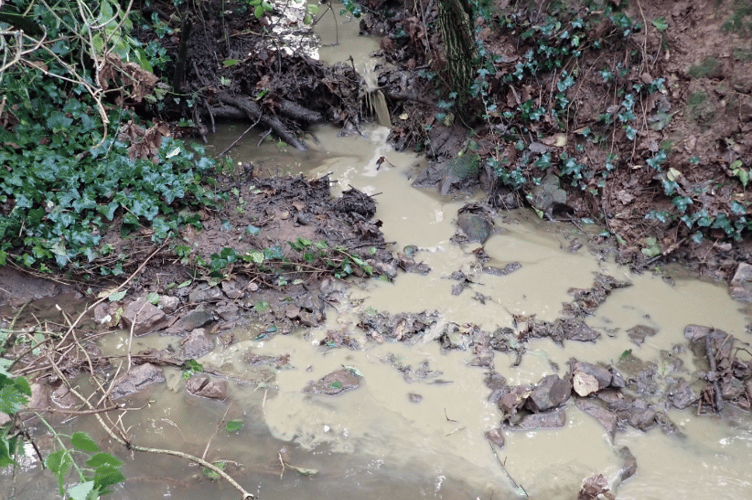 Slurry discharging into the Westford Stream from overflowing slurry storage tank.