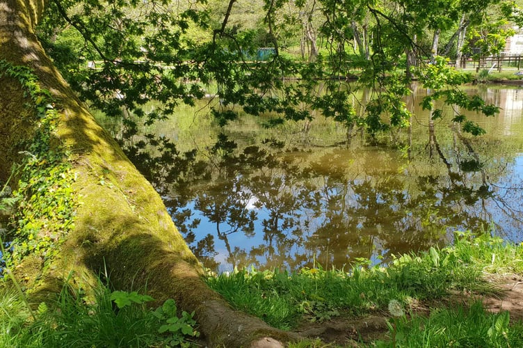 Wellington Basins, a 'calm and serene beauty spot'.