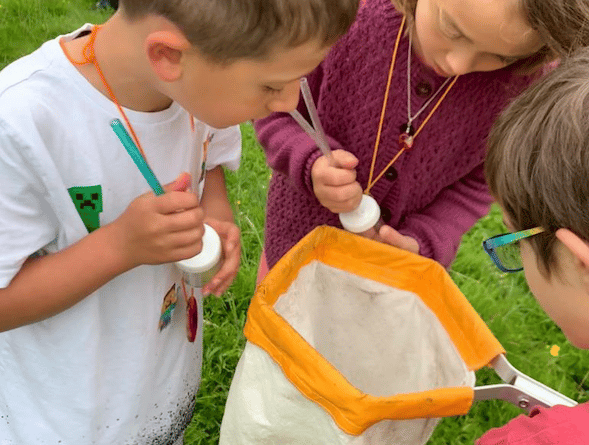 Children hunt for bugs at last year's Transition Town Wellington summer picnic. PHOTO: TTW.