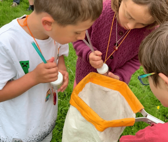 Children hunt for bugs at last year's Transition Town Wellington summer picnic. PHOTO: TTW.